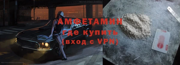 прущие грибы Покачи