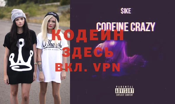 индика Абинск