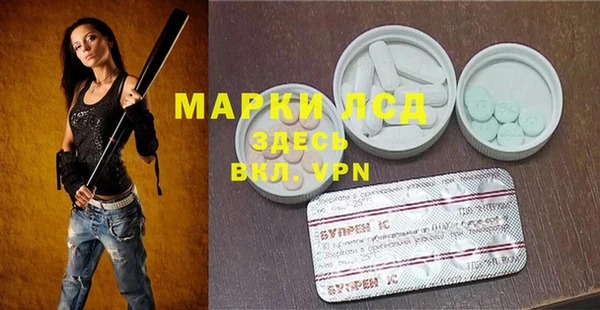 прущие грибы Покачи