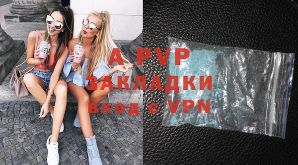 индика Абинск