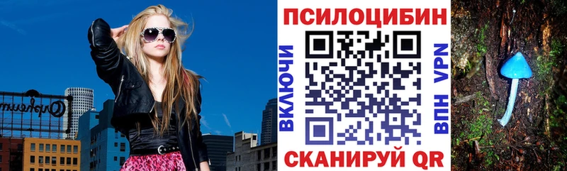 блэк спрут ONION  Княгинино  Галлюциногенные грибы мухоморы 