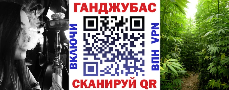 Конопля сатива  Княгинино 